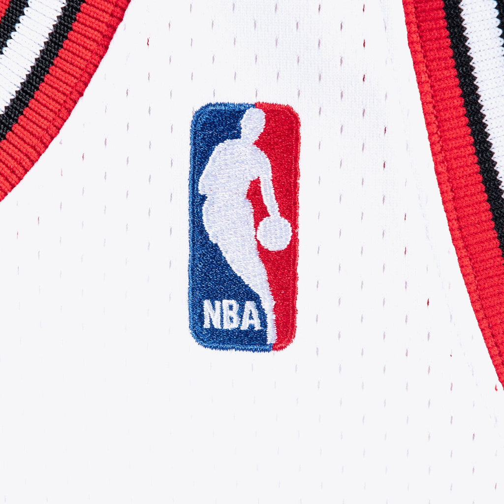 Chicago Bulls Authentic Jersey Michael Jordan 1995-96 product image 5, provided for visual reference and product detail