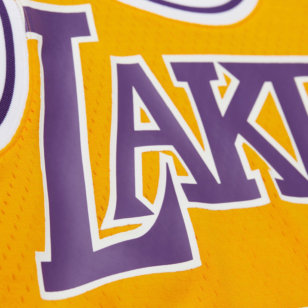Los Angeles Lakers Maxxed Out Jersey 1998 Dennis Rodman product image 5, provided for visual reference and product detail