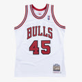 Chicago Bulls Authentic Jersey Michael Jordan 1994-95 product image 1, provided for visual reference and product detail
