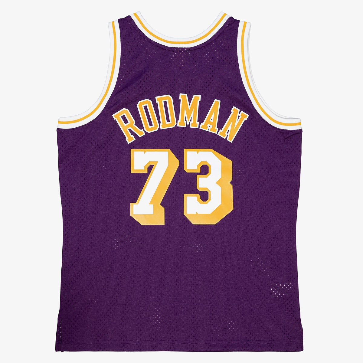 Los Angeles Lakers Dennis Rodman 1998 Road Authentic Jersey - Purple product image 4, provided for visual reference and