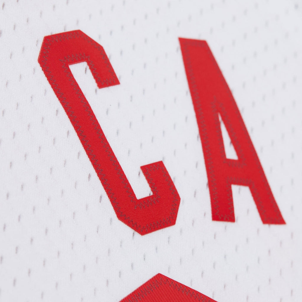 New Jersey Nets Swingman Jersey - Vince Carter product image 7, provided for visual reference and product detail review