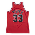 Scottie Pippen Chicago Bulls YOUTH Official NBA Mitchell & product image 1