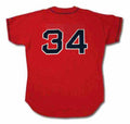 David Ortiz 2010 YOUTH KIDS Boston Red Sox Official MLB product image 1