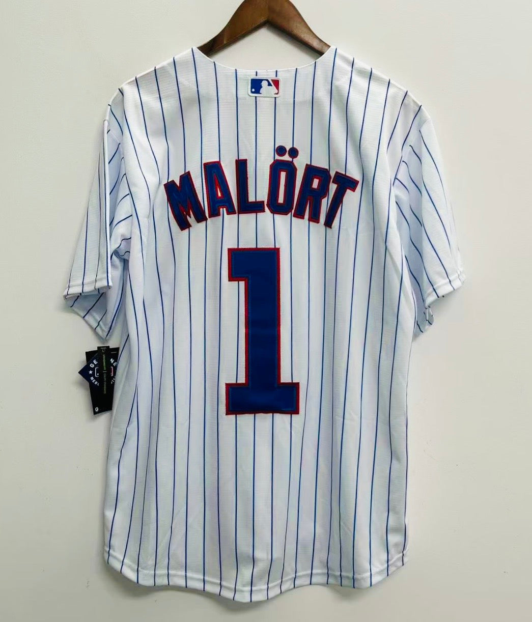Any Name & Number customized Chicago Cubs Official MLB Nike product image 2