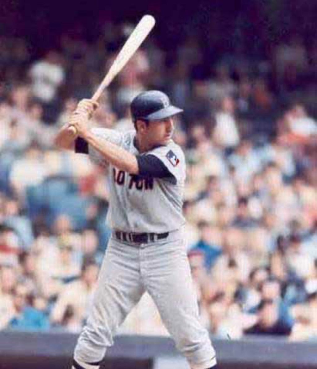 RICO PETROCELLI 1969 Boston Red Sox Official MLB Majestic product image 4