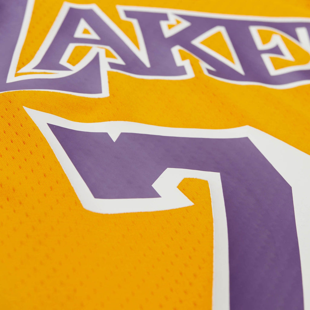 Los Angeles Lakers Maxxed Out Jersey 1998 Dennis Rodman product image 4, provided for visual reference and product detail