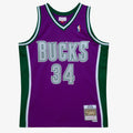 Milwaukee Bucks Swingman Jersey Ray Allen 2001-02 product image 1, provided for visual reference and product detail review