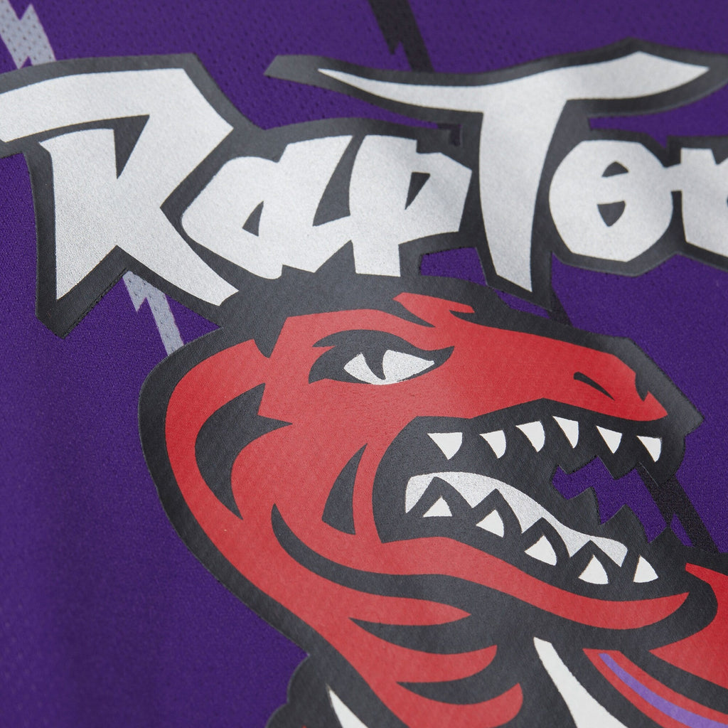 Vince Carter Purple Toronto Raptors Maxxed Out Fashion Hockey Jersey product image 8, provided for visual reference and