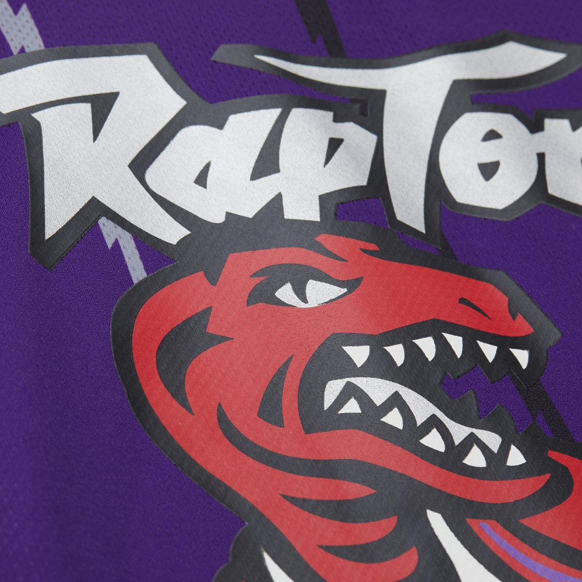 Vince Carter Purple Toronto Raptors Maxxed Out Fashion Hockey Jersey product image 8, provided for visual reference and